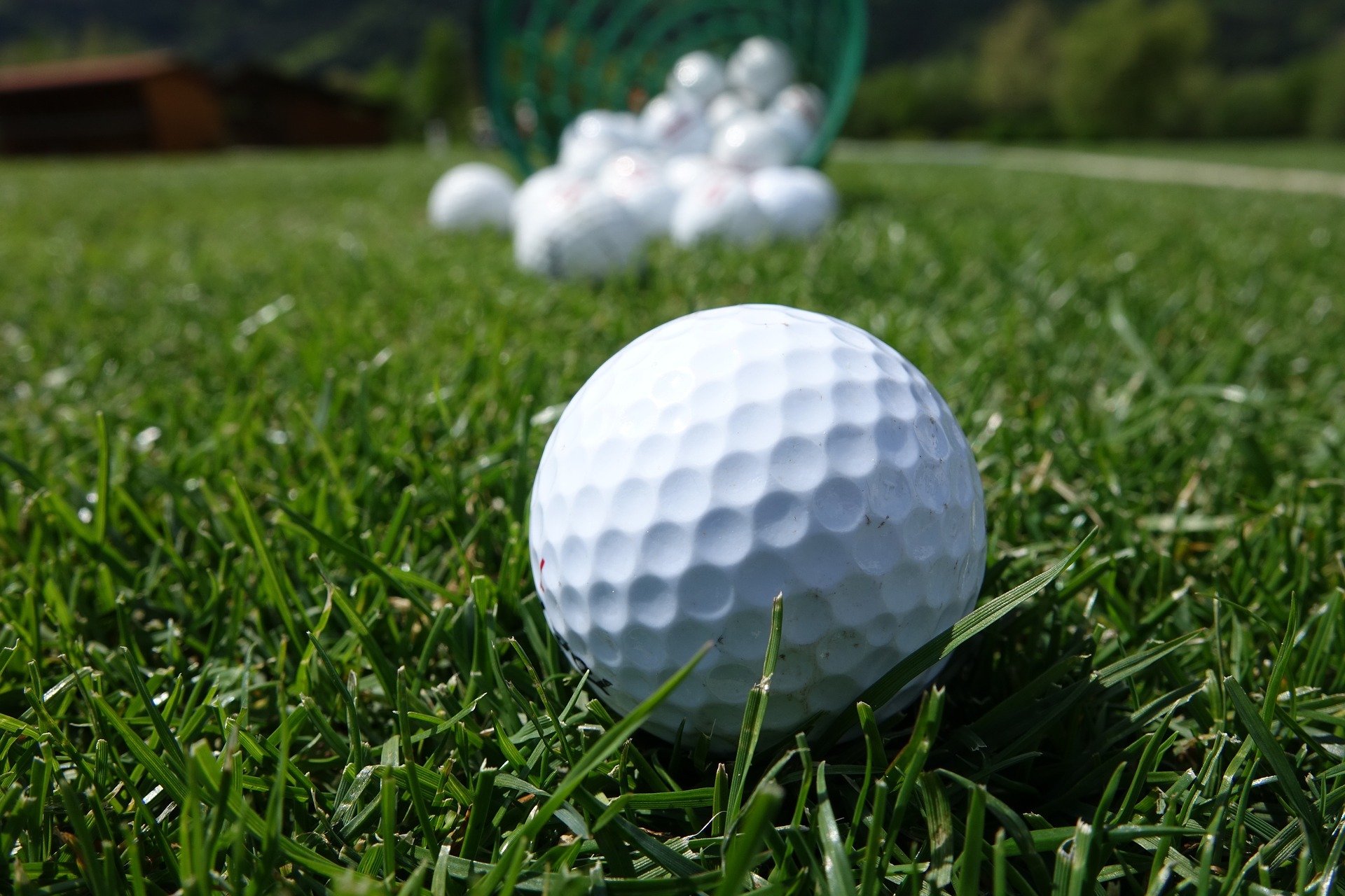 learn golf swing basics at Golf Dynamics golf school in Austin